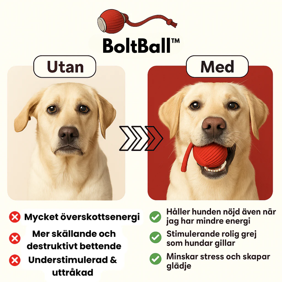 BoltBall™ | Låt hunden leka själv — och få lugn och ro hemma.