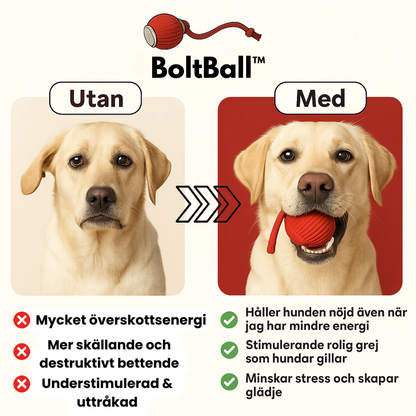 BoltBall™ | Låt hunden leka själv — och få lugn och ro hemma.
