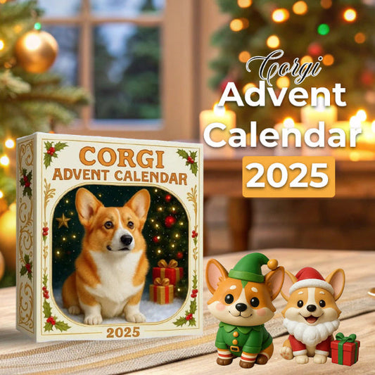 🐶🎄Corgi julkalender 2025
