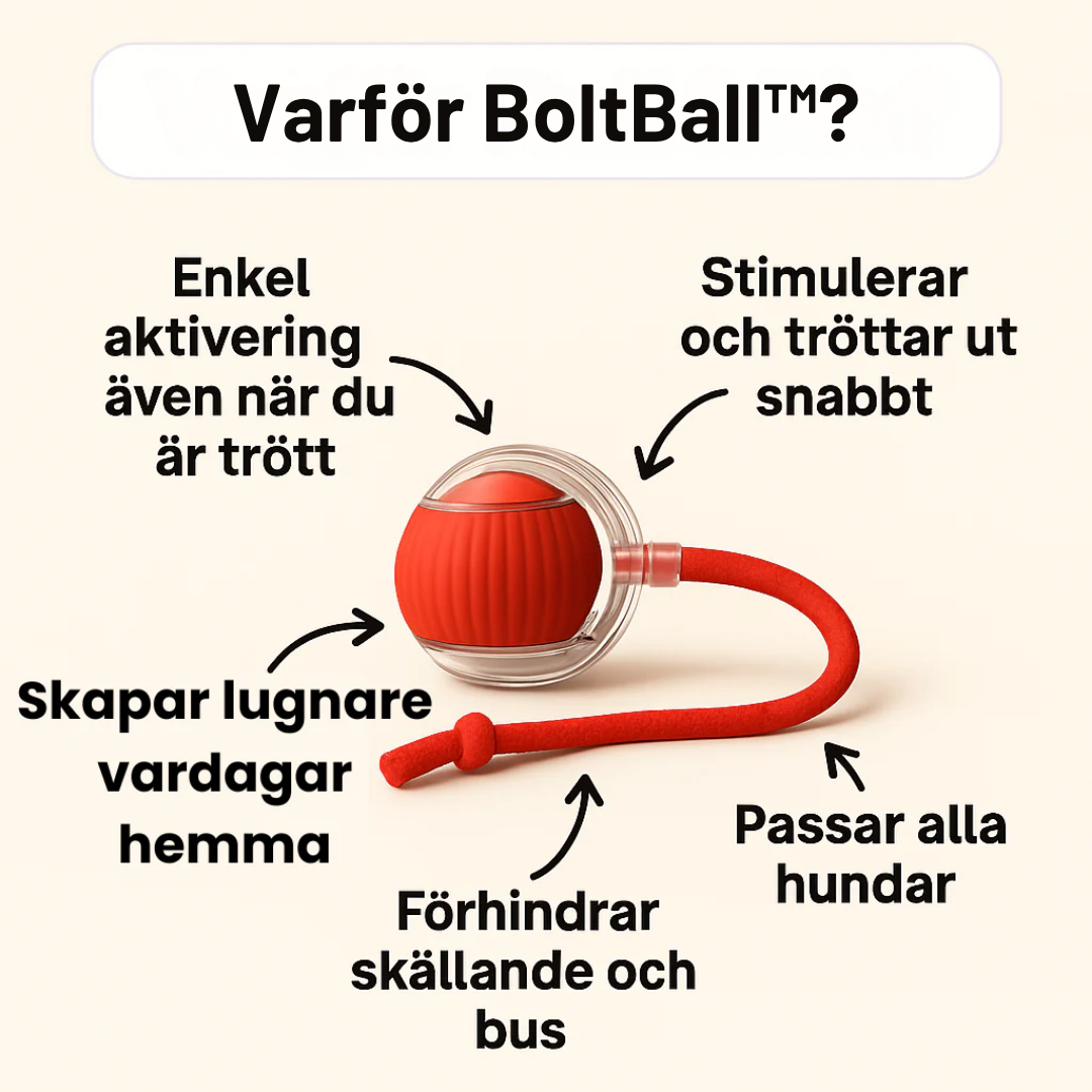 BoltBall™ | Låt hunden leka själv — och få lugn och ro hemma.
