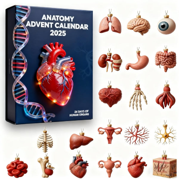 2025 Anatomie Adventskalender