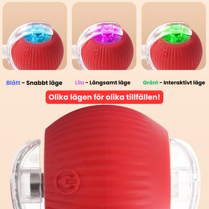 BoltBall™ | Låt hunden leka själv — och få lugn och ro hemma.