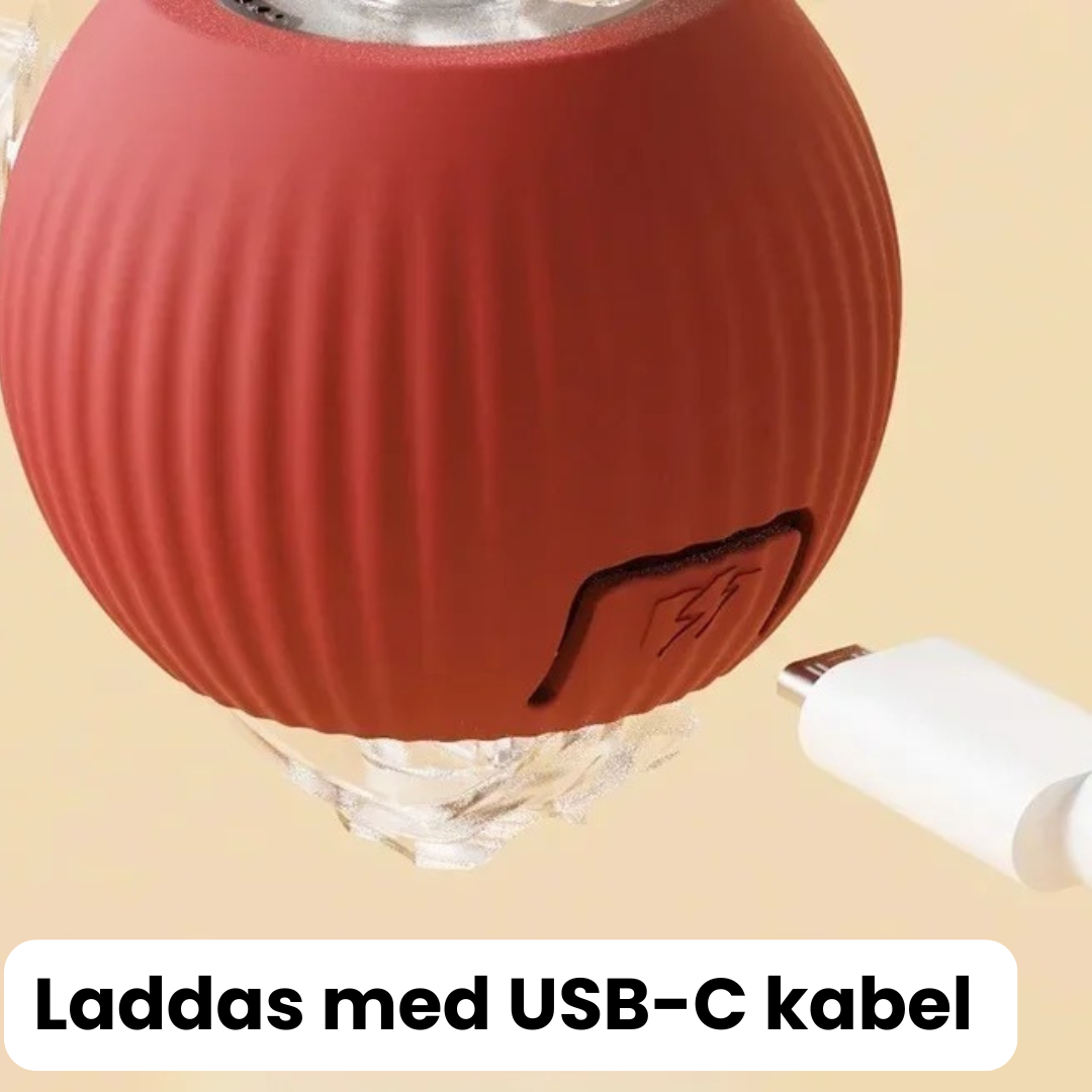 BoltBall™ | Låt hunden leka själv — och få lugn och ro hemma.