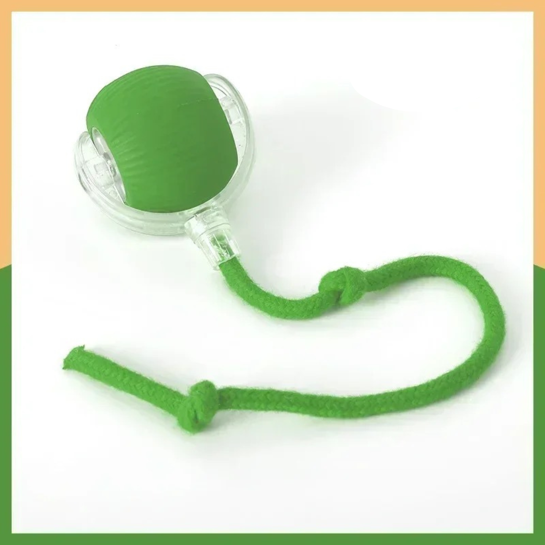 BoltBall™ | Låt hunden leka själv — och få lugn och ro hemma.